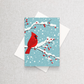 Cardinal in Snow | Custom Christmas Card Set of 12