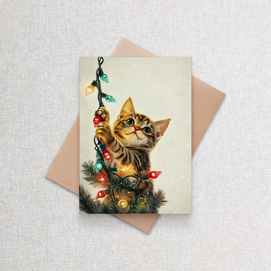 Cat in Lights | Custom Christmas Card Set of 12