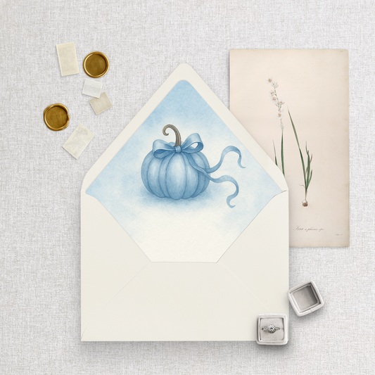 Cinderella | Envelope Liners