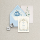 Cinderella | Save the Date
