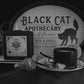 The Black Cat | Scented Candle | Nevermore Collection
